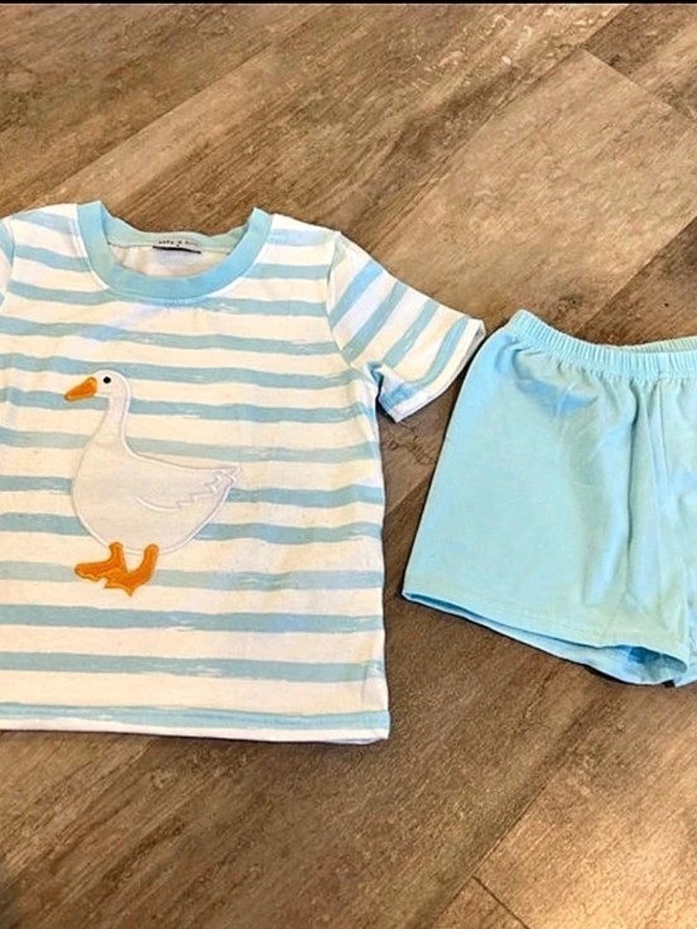 Abby & Evie Boys 2 Blue & White Goose Striped Set Like New